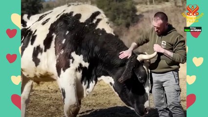 Be Vegan for the New Kingdom of God - Interview with The Reverend Dr. Lauren Lisa Ng (vegan), Part 2