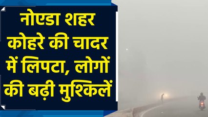 नोएडा शहर कोहरे की चादर में लिपटा, लोगों की बढ़ी मुश्किलें