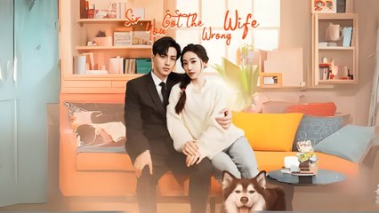 Sir, You Got the Wrong Wife (Chinese Drama English Subtitles )