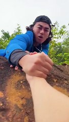 Hilarious Animal & Funny Video Reels 🐾