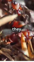 Even the small can make a big difference