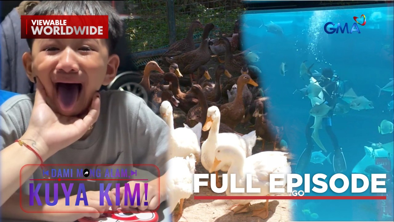 Malambing na pating?!; Bata, sumipsip ng tinta ng ballpen?! | Dami Mong Alam, Kuya Kim!