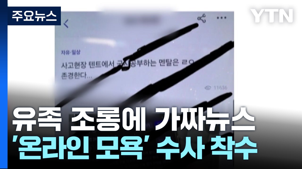 유족 조롱에 가짜뉴스까지...제주항공 참사 '온라인 모욕' 수사 착수 / YTN