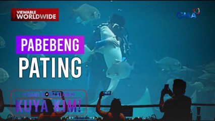 Pating sa isang aquarium, naging clingy!? | Dami Mong Alam, Kuya Kim!