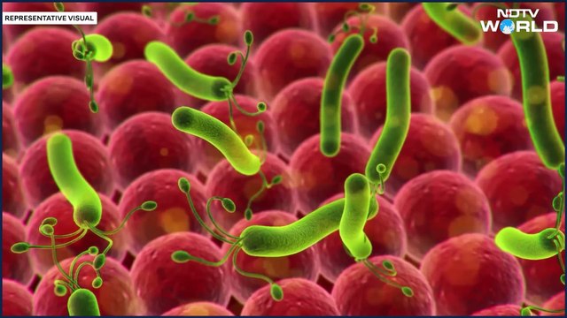 China New Virus HMPV Outbreak in 2025 | Symptoms, Spread, and What You Need to Know