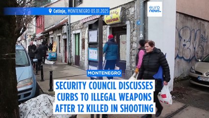 Montenegrin officials discuss curbs to illegal guns after 12 killed in mass shooting