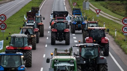 Crise agricole : les syndicats attendus à Matignon le 13 janvier