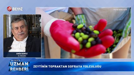 Uzman Rehberi 4 Ocak 2025