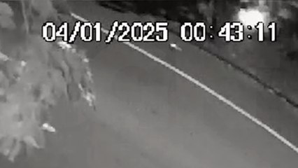 Câmeras flagram ação de incendiário no Maria Luiza