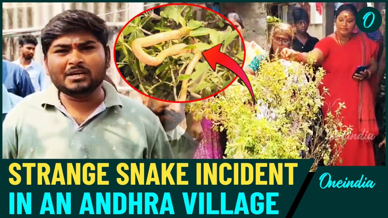 Mystery Golden Snake Appears in Chirala – Locals Perform Prayers and Rituals Believing It’s Divine