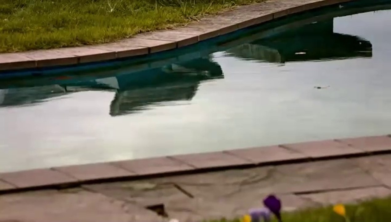 Man stirbt nur zweimal