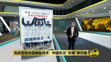 东北冬捕盛事：查干湖“头鱼”百万高价竞拍🔥