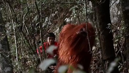 After the Plane Crash, They'll Try to Survive in the Jungle | Full ACTION ADVENTURE