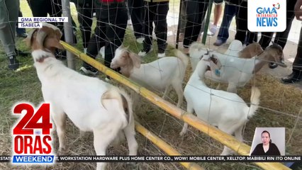 Kauna-unahang patent para sa natuklasang antibiotic properties ng marine bacteria, nakamit ng isang unibersidad sa Iloilo | 24 Oras Weekend