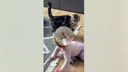 Laughs Guaranteed: Cats and Babies Being Ridiculously Adorable!"😅
