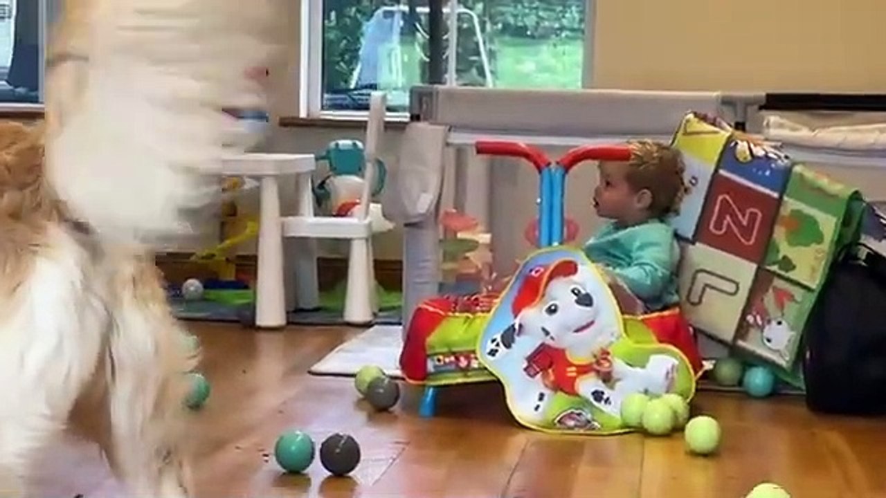 Adorable Baby Boy Plays With Crazy Golden Retriever Energy! (So Cute!!)