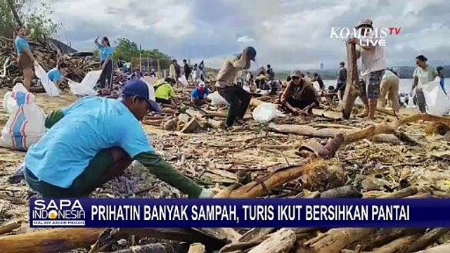 Tak Hanya Warga, Turis Ikut Aksi Bersih-Bersih Sampah di Pantai Kedonganan Bali
