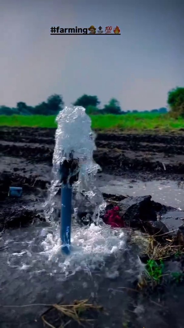 ⁣Farming #viral #instagood #trendingreels #instagram #trending #trend #viralvideos #instalike #insta 