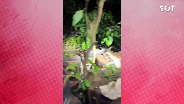 BPFRON realiza mega apreensão de maconha em Santa Helena e causa prejuízo milionário ao crime