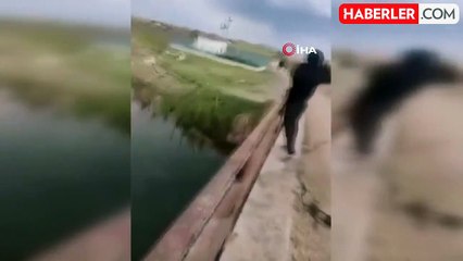 Soğuk Kış Gününde Köpeği Köprüden Suya Attı