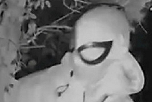 Doorbell footage of alleged stalker wearing Spider-Man mask