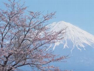 Jaia - After the rain