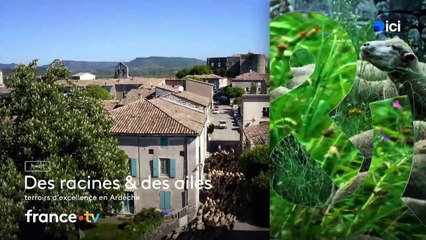 06/01/2025 - ici matin parici Normandie (Calvados - Orne) en vidéo