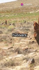 Les épitaphes légendaires du cimetière de Boothill