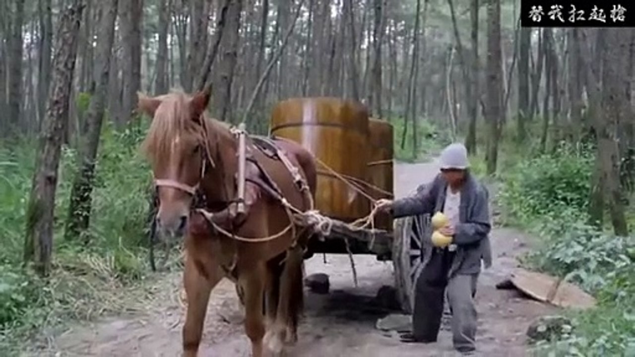 The Old Lady Reveals She Is a Kung Fu Master Who Defeats Japanese Soldiers