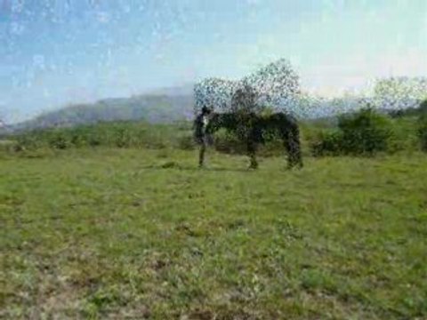 nos débuts en étholgie + 4 mois