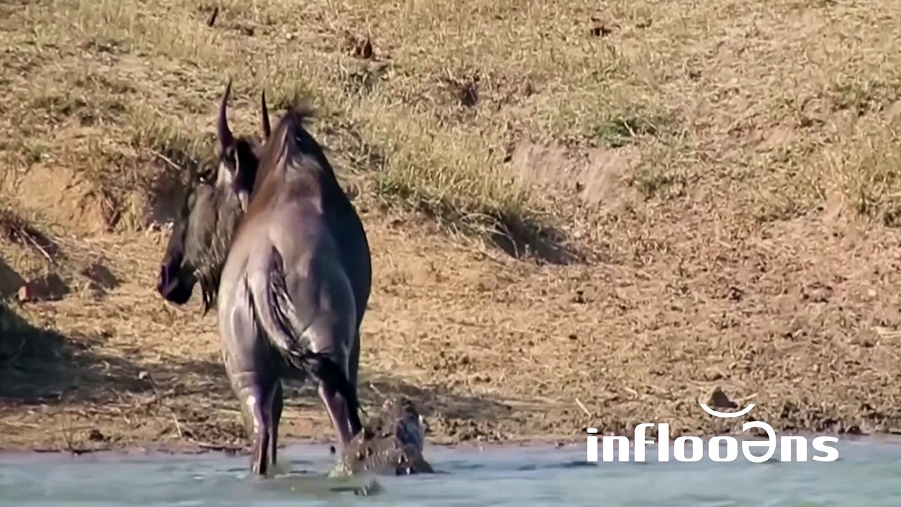 inflo͝oəns