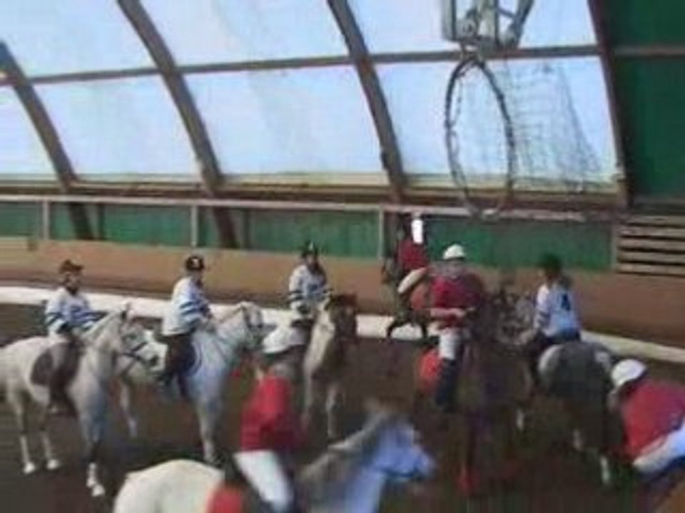 HORSE-BALL DACHSBUHL