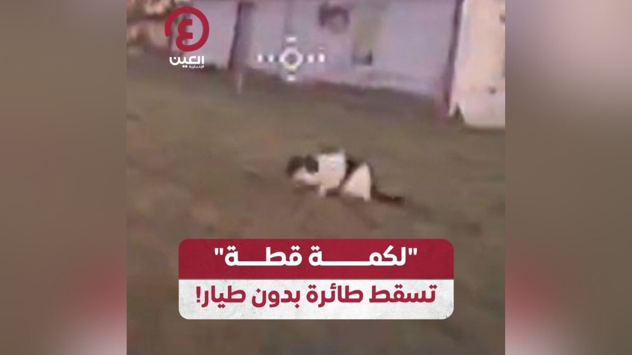 “لكمة قطة” تسقط طائرة بدون طيار!