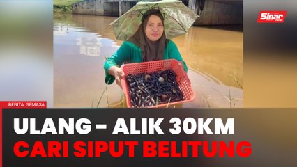 Ulang-alik 30km cari siput belitung