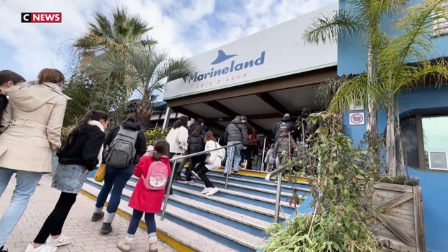 Marineland ferme définitivement ses portes aujourd'hui