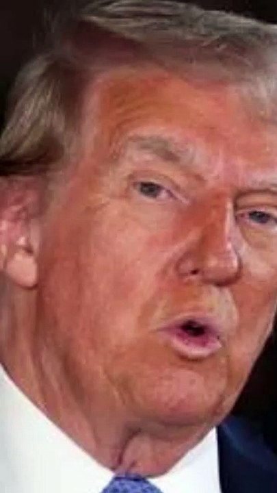 Trump and Giorgia Meloni Discuss Challenges to Conservative Lawyers - WorldEye