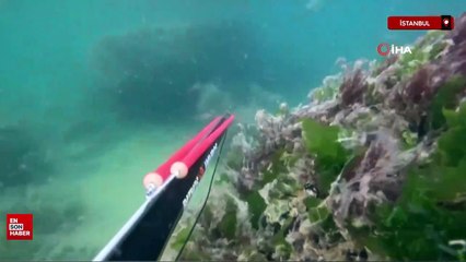 İstanbul'da denizin dibinde korkutan müsilaj manzarası