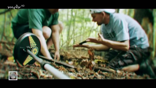 Kripo live-Tätern auf der Spur-Der Krimi um die Himmelsscheibe von Nebra