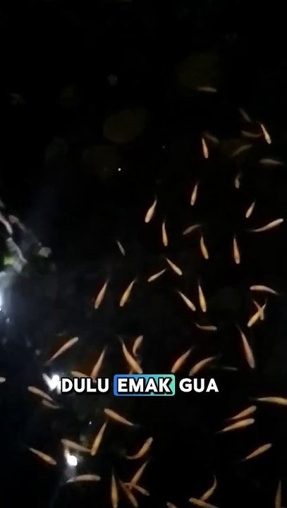 kata emak gue