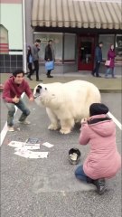 New Magic Tricks 🤯 Magic Tricks 🔥🤯