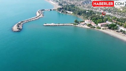 Yavru Akdeniz Foku 'Yağmur' İsimli Birey Doğal Yaşamına Kavuştu