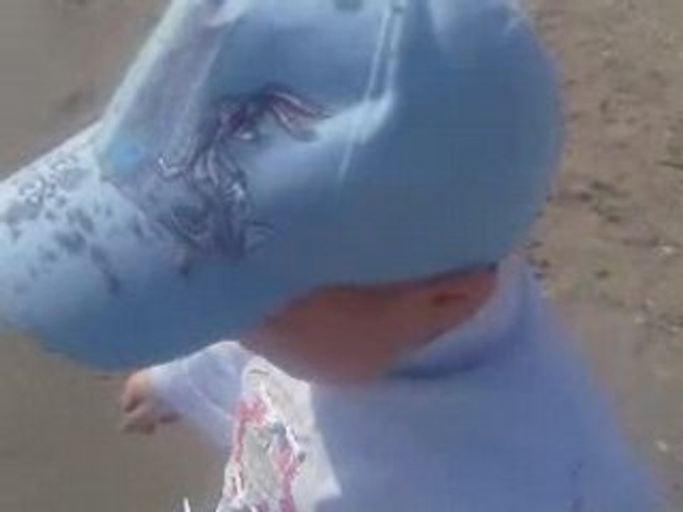 Vidéo-0008