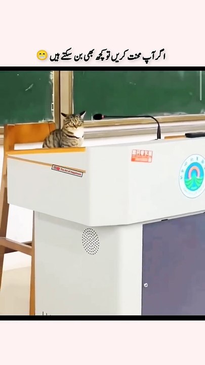 Ready to Lecture