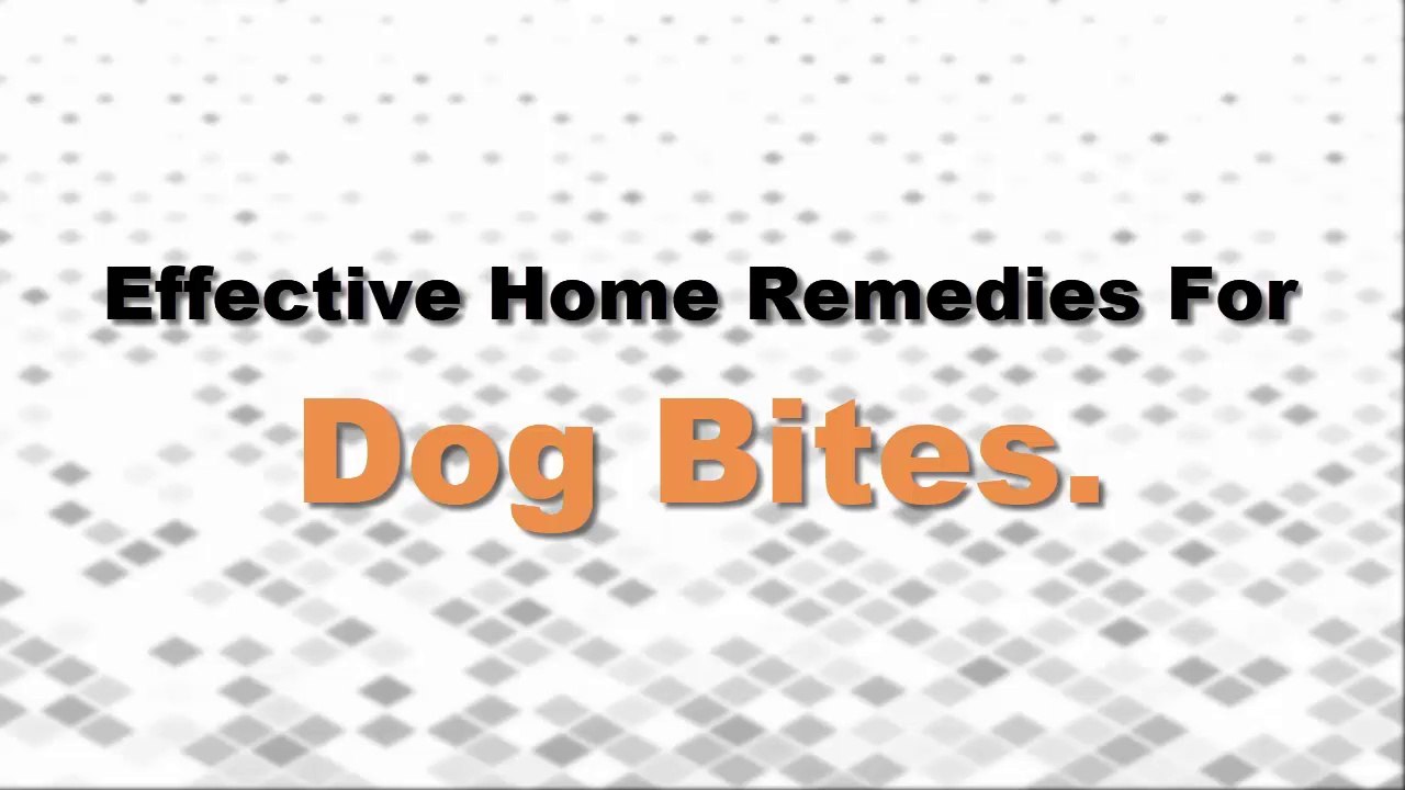 Dog Allergies - 8 Effective Home Remedies For Dog Bites.
