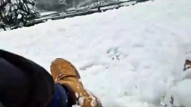 Sledding with Crookes Valley Park on January 5