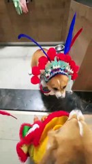 This play is really good!