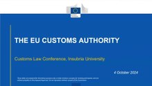 EU Customs Authority - Yannick Van Ranst (TAXUD)
