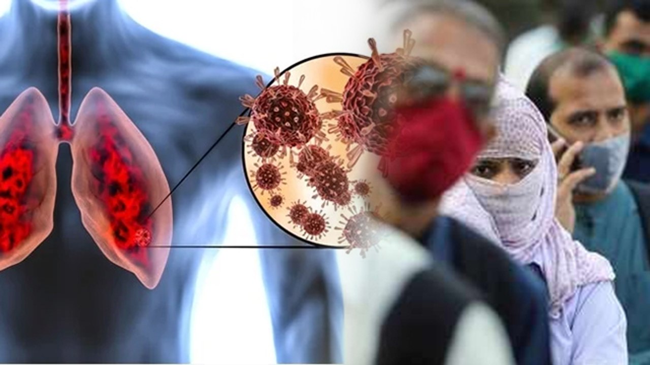 HMPV Virus Vs Covid19: कोरोना से कितना अलग है HMPV Virus, Symptoms & Mutation Level ...|Boldsky