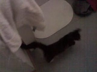 Dark angel avant d'aller au dodo