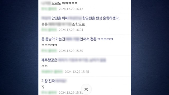 경찰, 제주항공 참사 악성 게시글 99건 수사·1명 검거 / YTN